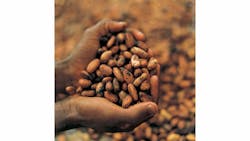 Cocoabeans 10285410 Cocoabeans 10285410