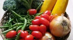Garden Vegetables 300x300