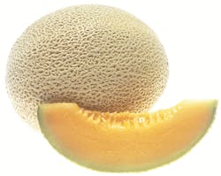 Cantaloupe 10361638 Cantaloupe 10361638