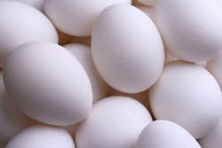Eggs1 300x200