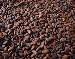 Cocoa Beans 10734677 Cocoa Beans 10734677