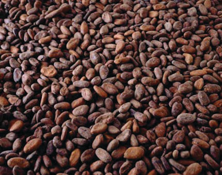 Cocoa Beans 10734677