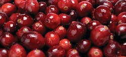 Cranberries 10734207 Cranberries 10734207