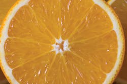 Orange Foroj 10779825 Orange Foroj 10779825