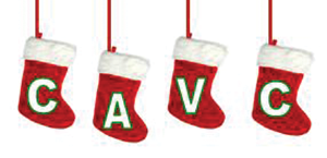 Cava Stockings 10826874