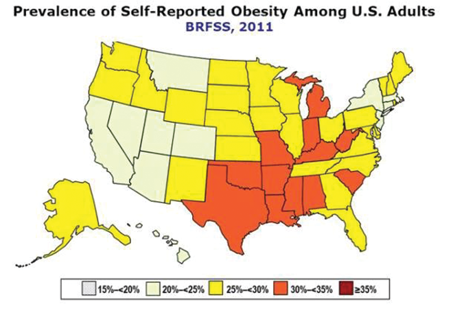 2011 Obesitymap 10839380