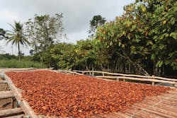 Marsaward 10978194 Marsaward 10978194