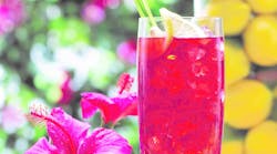 Gavina Specialty Iced Tea 11075531 Gavina Specialty Iced Tea 11075531