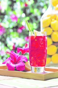 Gavina Specialty Iced Tea 11075531 Gavina Specialty Iced Tea 11075531