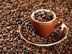 Coffee Beans In Cup 11210911 Coffee Beans In Cup 11210911