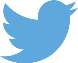 Twitter Logo Blue 11302695 Twitter Logo Blue 11302695