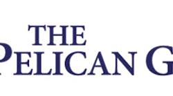 The Pelican Group Logo 11308396