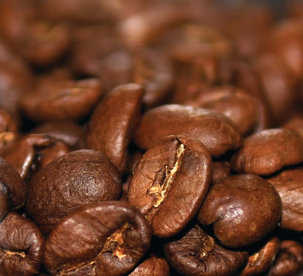 1111996 54360799 11419570