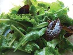 Salad 11486302 Salad 11486302