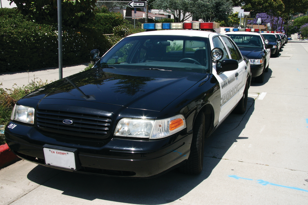 Istock 000000884742large 11564356