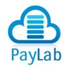 Paylab Logo 11573695