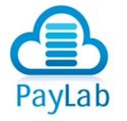 Paylab Logo 11573695 Paylab Logo 11573695