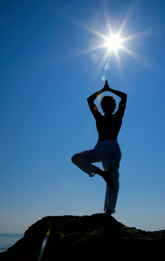 Yoga Wellness 11588449