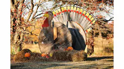 Turkey 547601d08f63d