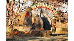 Turkey 547601d08f63d Turkey 547601d08f63d