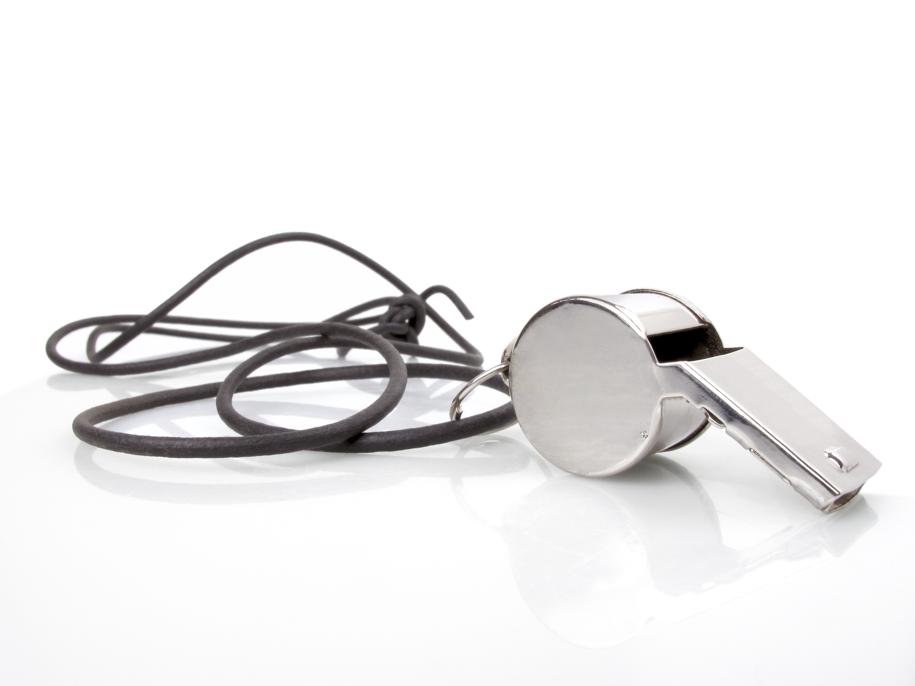 Whistle 54d3ee3553560