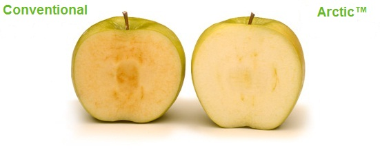 Artic Apple 54e4bfb6578f7