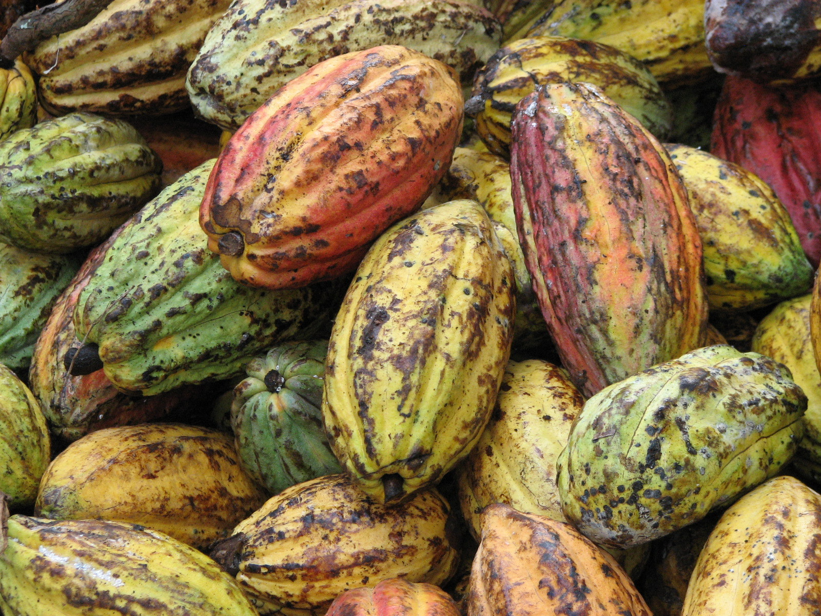 IMG 1154 2 5523fe34d79ba