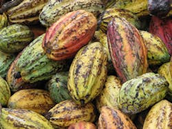 Img 1154 2 5523fe34d79ba Img 1154 2 5523fe34d79ba