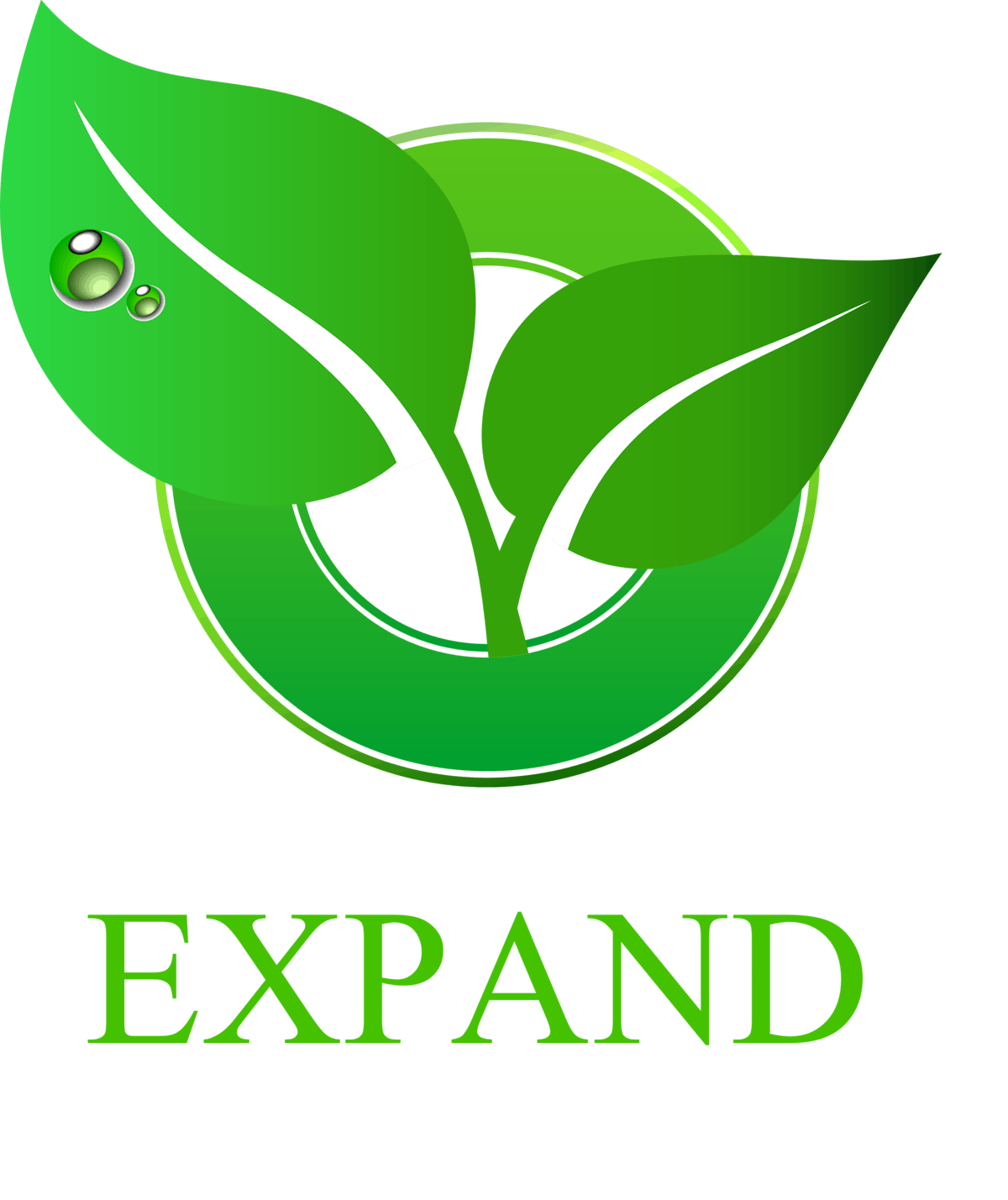 New expand project logo 552fe73567af2