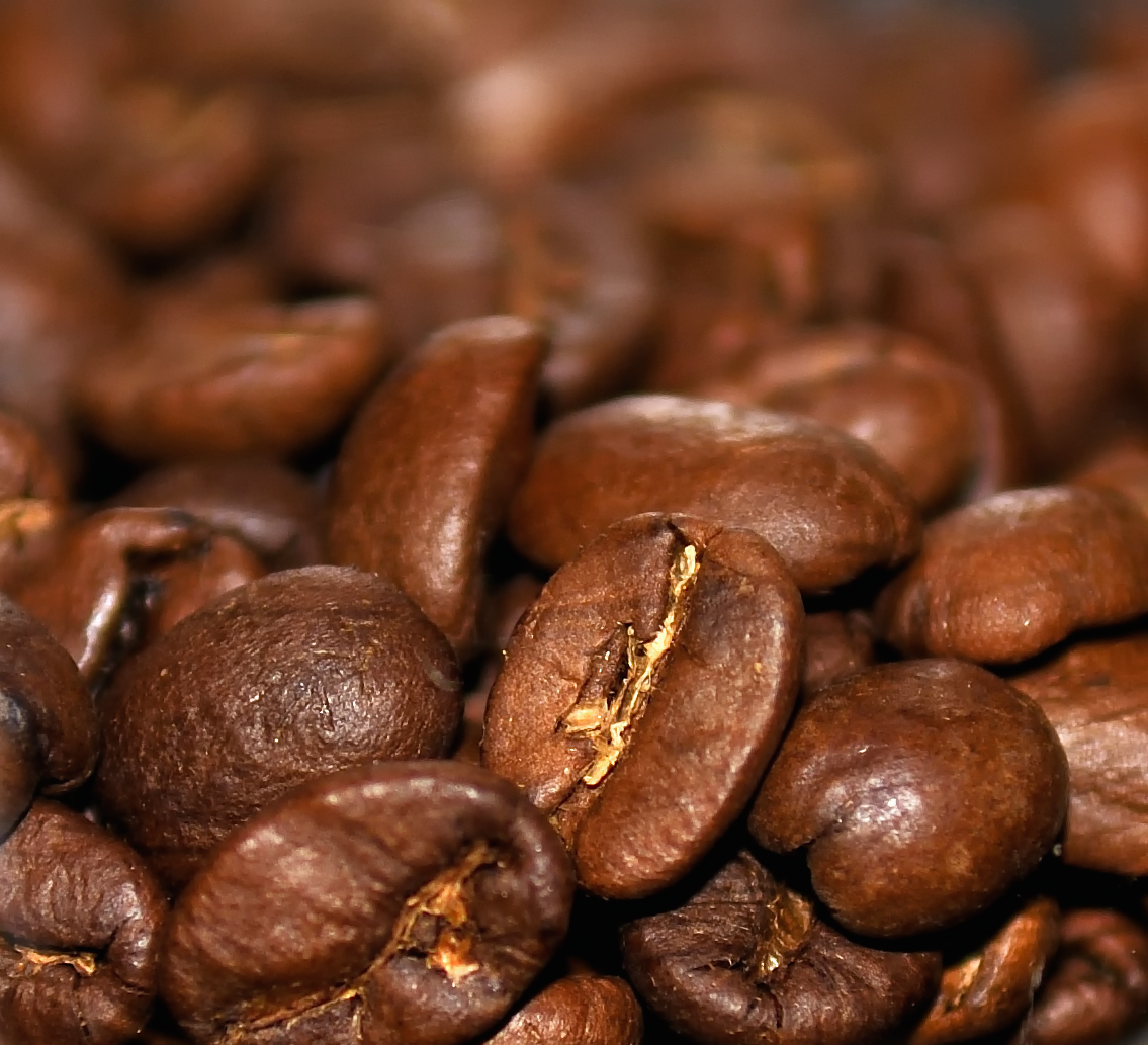 1111996 54360799 556492de504b9