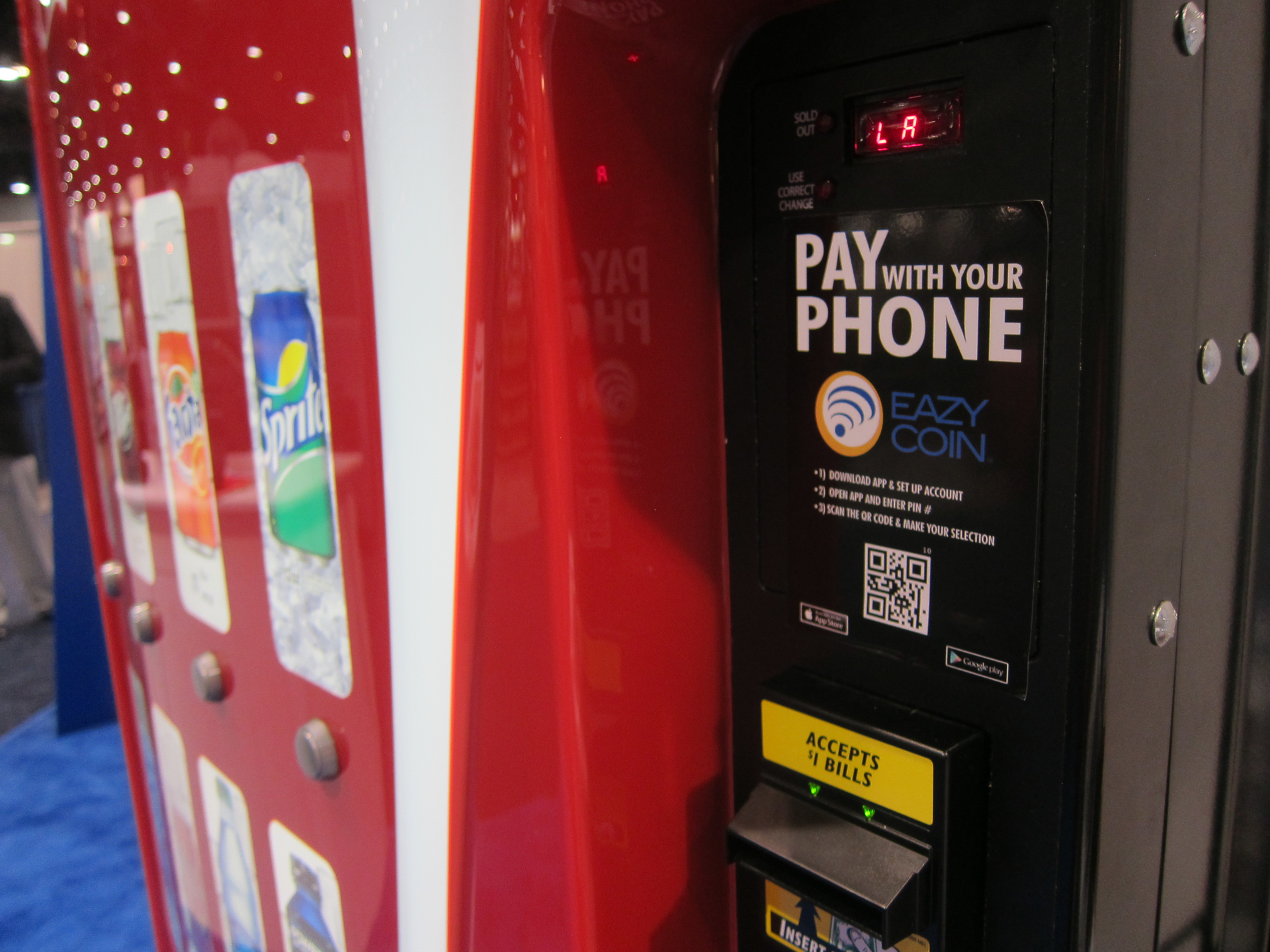 Img 3337 1 554bebd2280e5