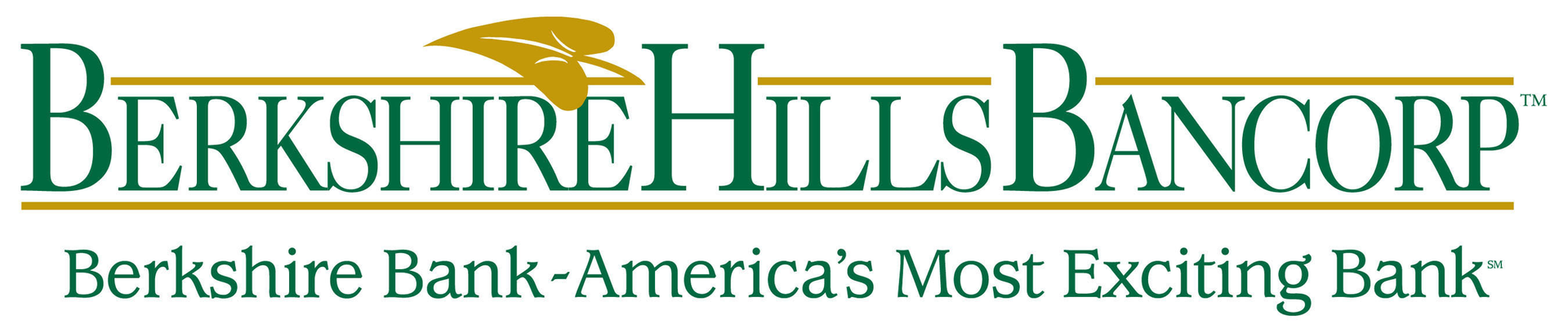 berkshire hills 5564919214a09