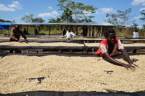 Nespresso Copy 55954f706303c