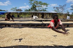 Nespresso Copy 55954f706303c Nespresso Copy 55954f706303c