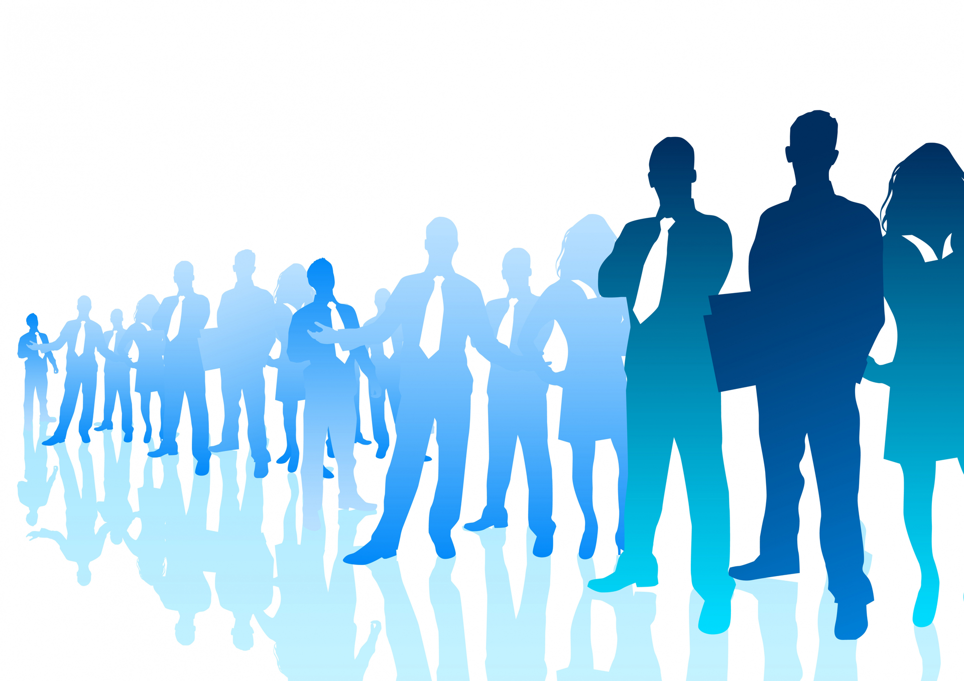 9197451 2437x3447 5612bd50e2d02