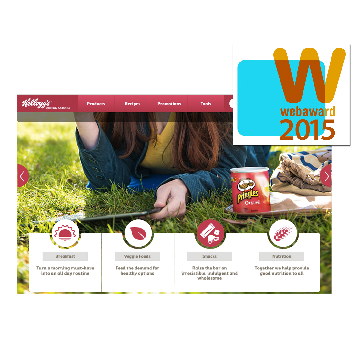 WebAward 1 1 565f33048f8d5