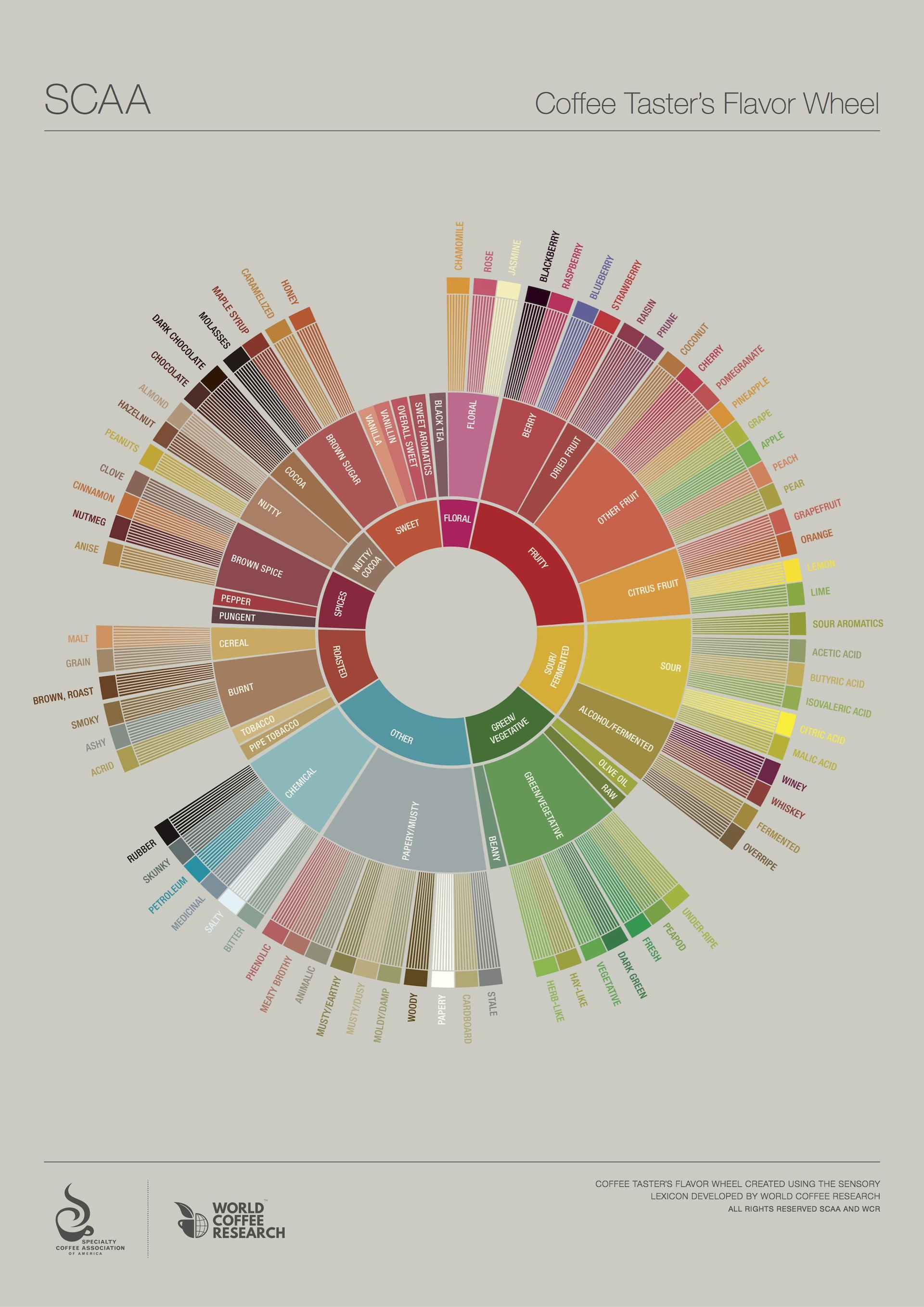 Scaa Flavor Wheel 01 18 15 569fc6f134eab