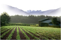 Gm Organic 56e0544505c7f Gm Organic 56e0544505c7f