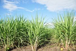 Dsc 0727 573f34d704b5e Dsc 0727 573f34d704b5e