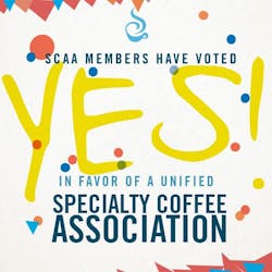 Scaa Unification 57adec1ba2343 Scaa Unification 57adec1ba2343