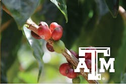 Coffee Center Am 57d18f4bd617b Coffee Center Am 57d18f4bd617b