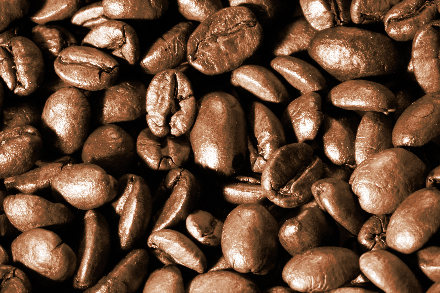 883958 61106192 1 580f8c8e54685