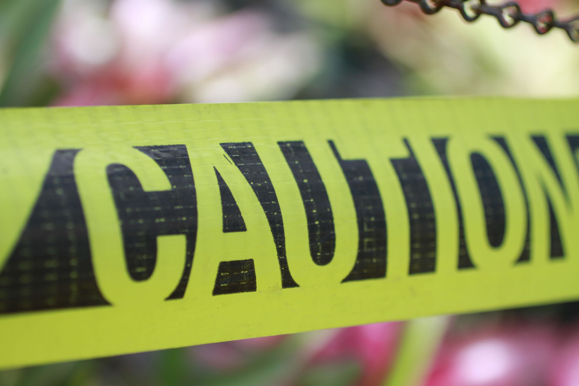 Img 3076 5807995f35414