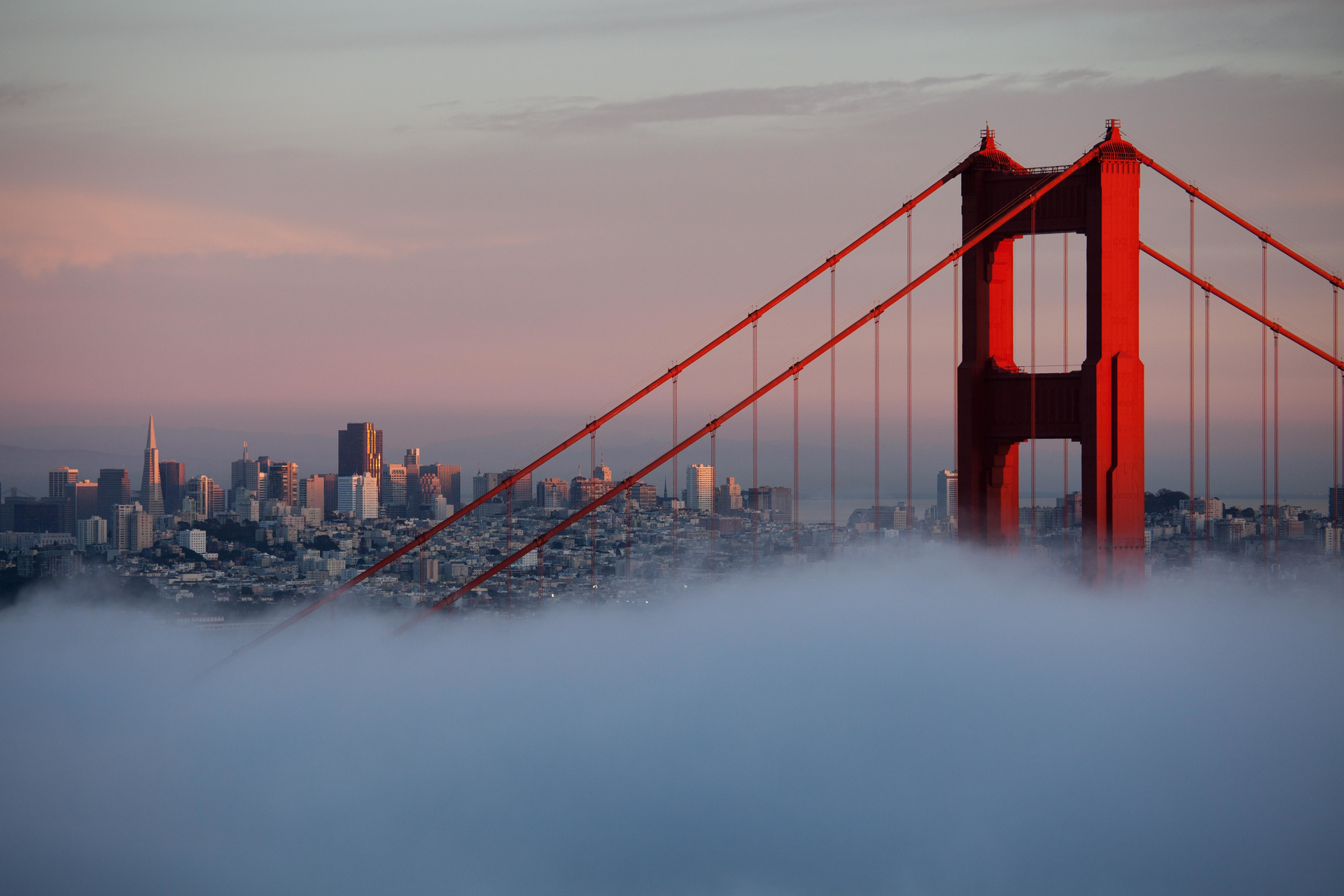 Img 4025 57f275cb4ec99