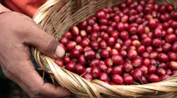 coffee beans