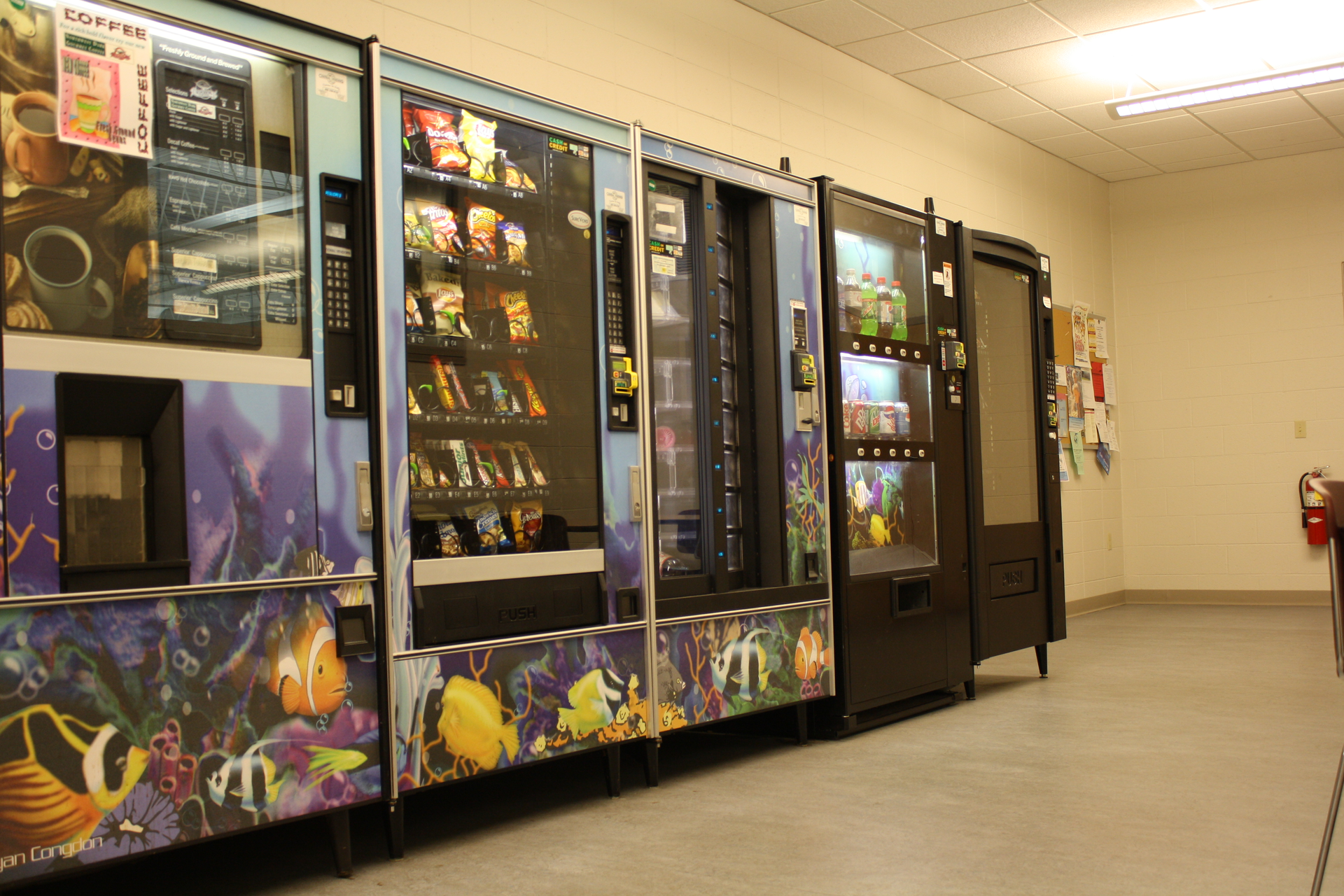 Img 8399 585416cbb3d67