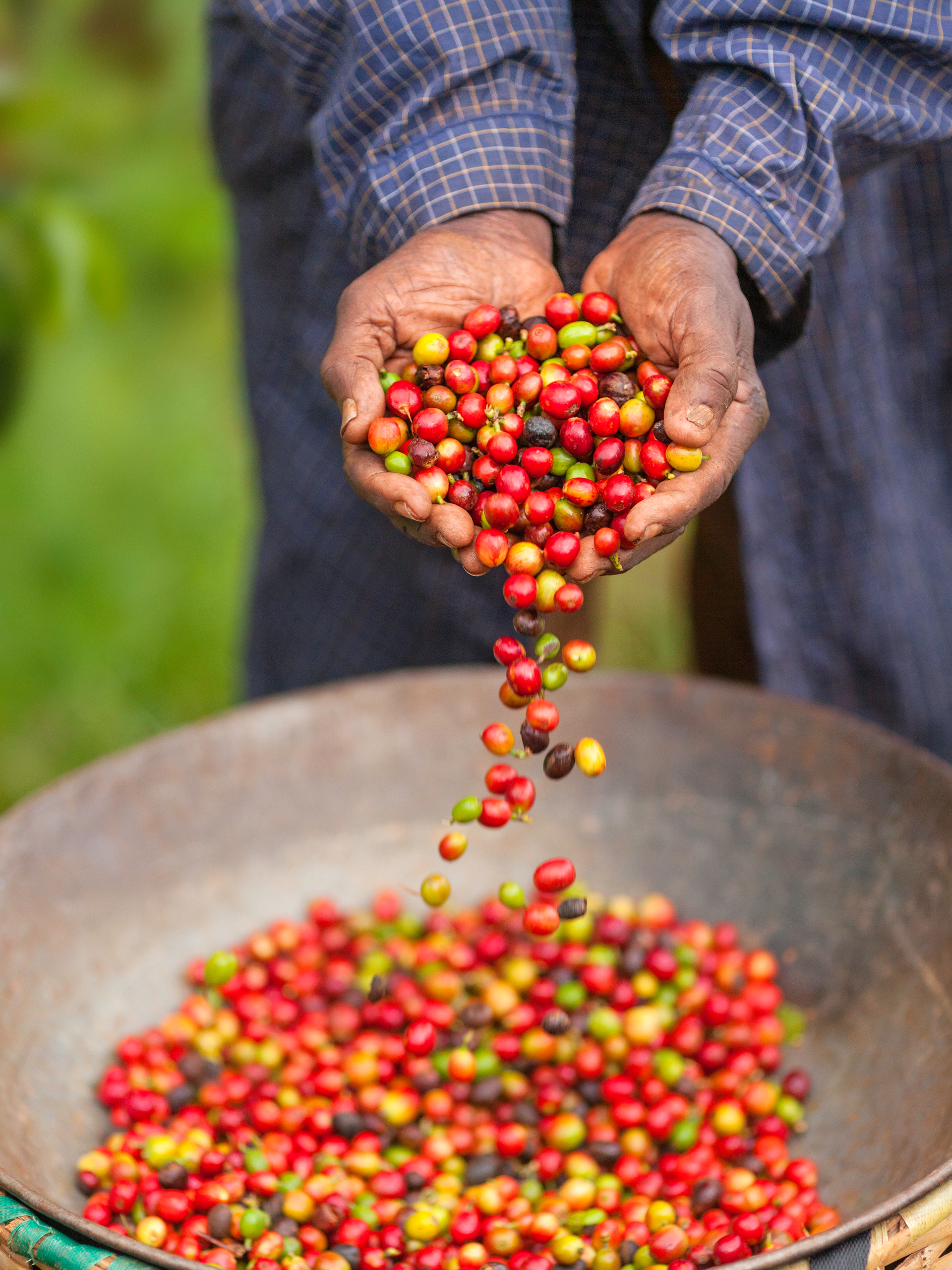 I Stock 472495716 5849ed397df21