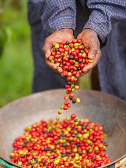 I Stock 472495716 5849ed397df21 I Stock 472495716 5849ed397df21