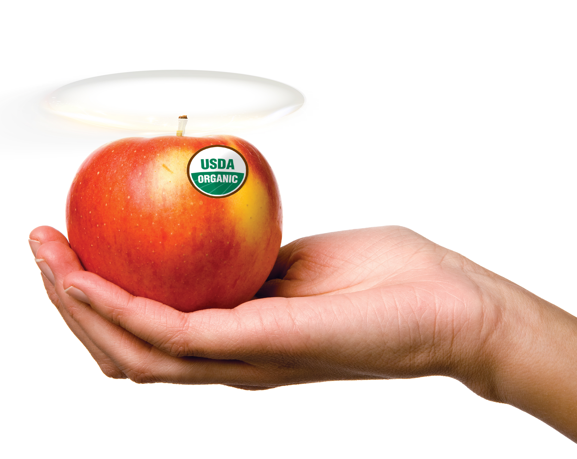 AppleHalo 01 588fa609d87ec