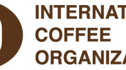 ico 588787711c40b